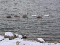 photo 088_2